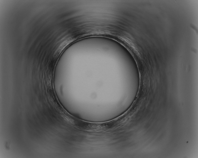 X0000092061273200710101027