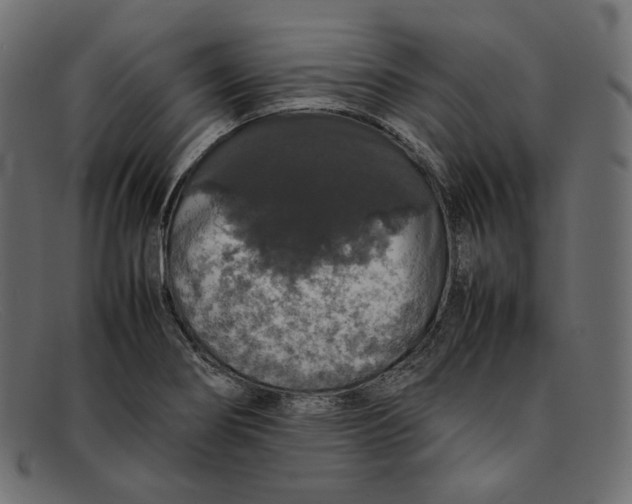 X0000092061274200710101027