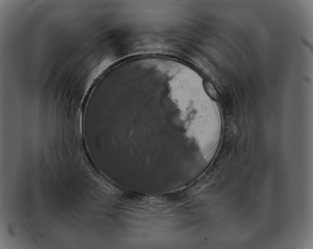 X0000092061275200710101027