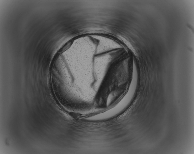 X0000092061277200710101027