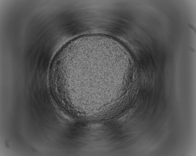 X0000092061278200710101027