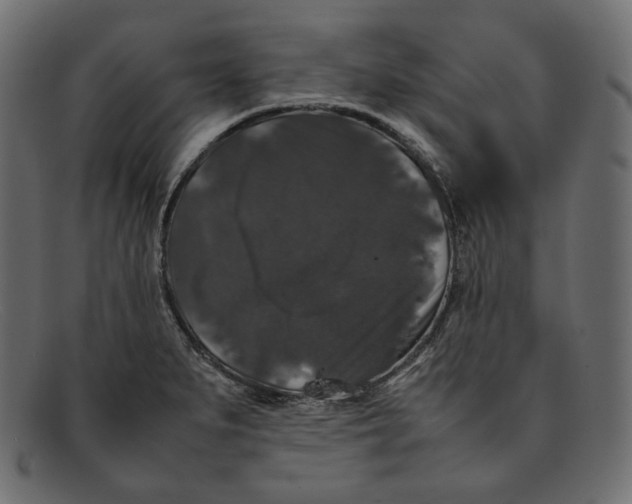 X0000092061279200710101027