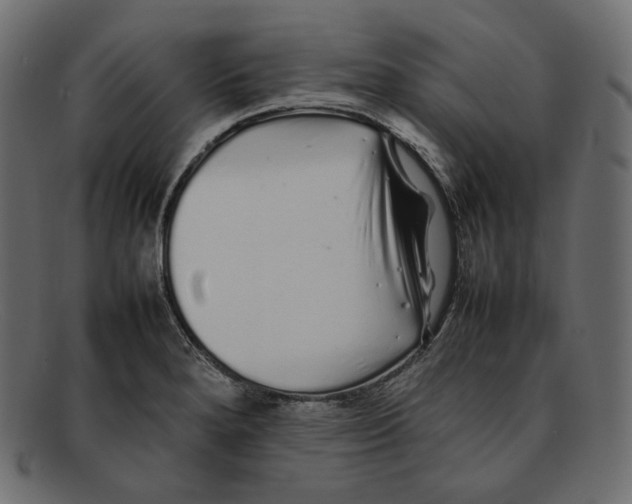 X0000092061280200710101027