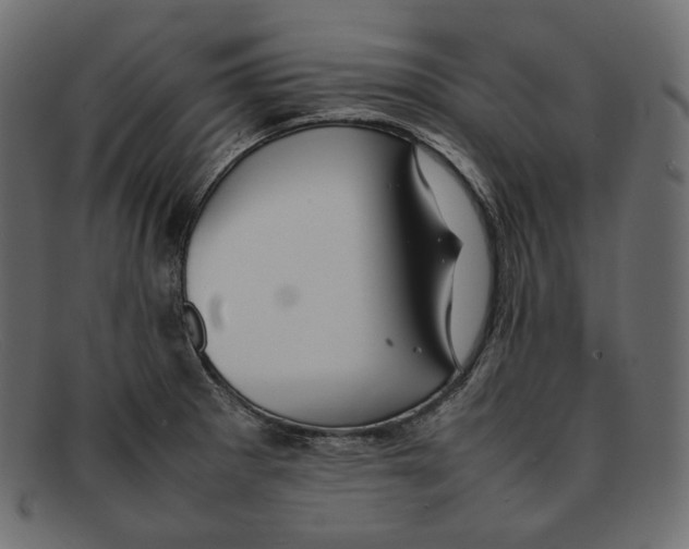 X0000092061281200710101027