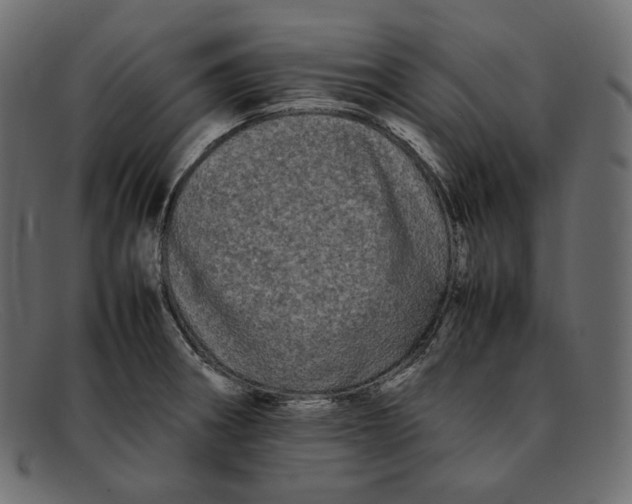 X0000092061282200710101027