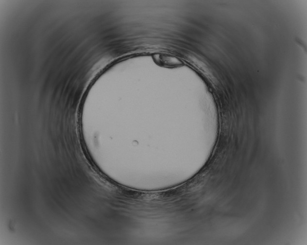 X0000092061283200710101027