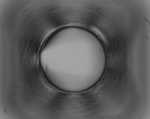 X0000092061284200710101027