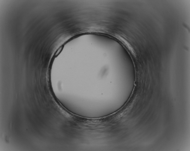 X0000092061285200710101027