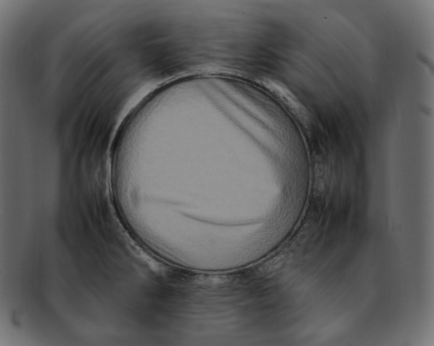 X0000092061286200710101027