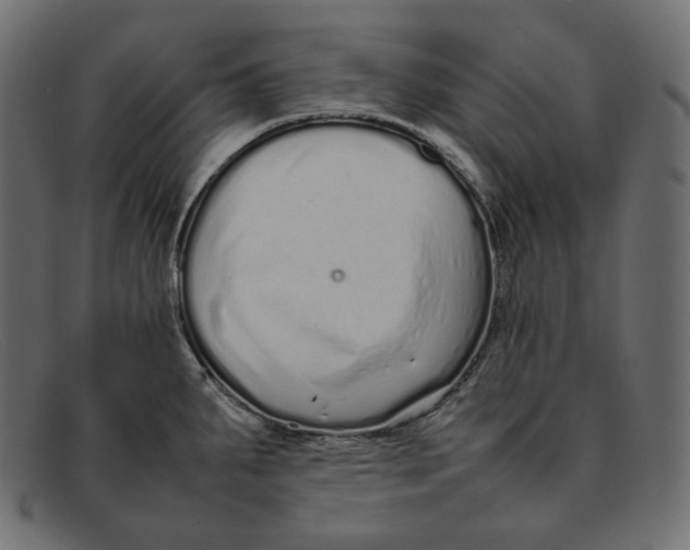 X0000092061287200710101027