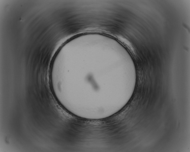 X0000092061288200710101027