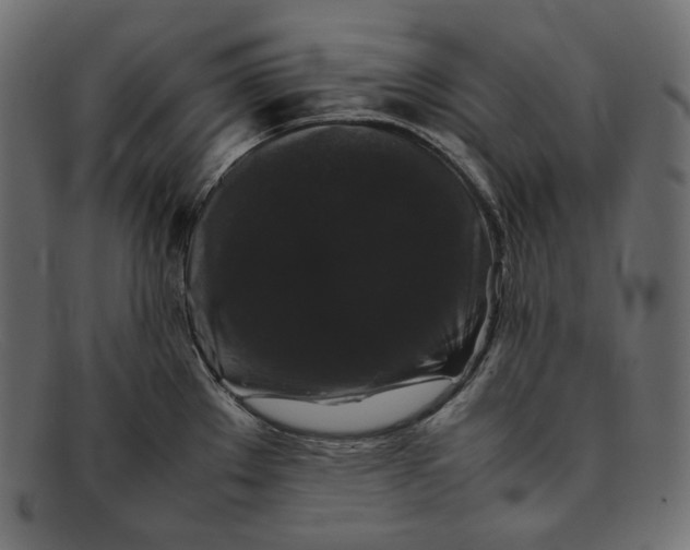 X0000092061289200710101027