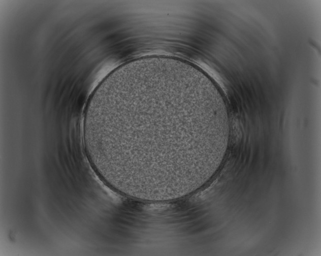 X0000092061290200710101027