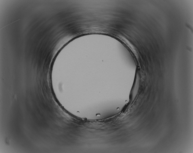 X0000092061293200710101027