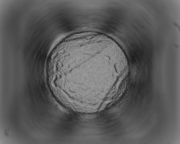 X0000092061294200710101027