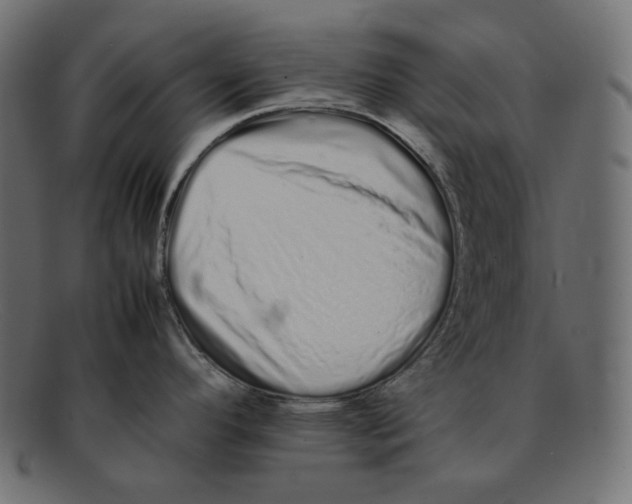 X0000092061296200710101027