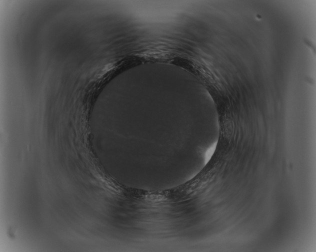 X0000092061297200710101026