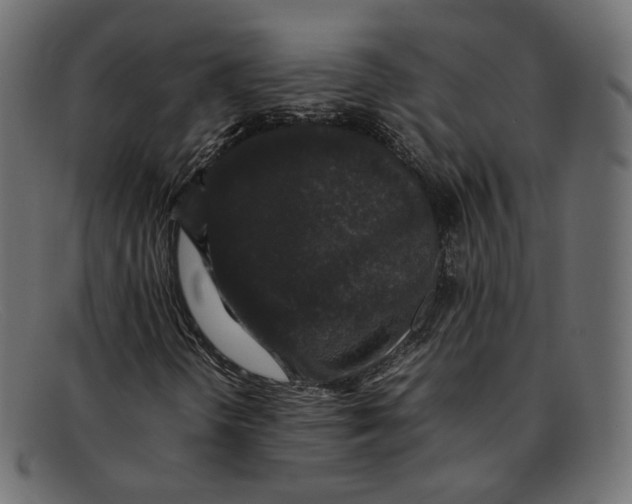 X0000092061298200710101026