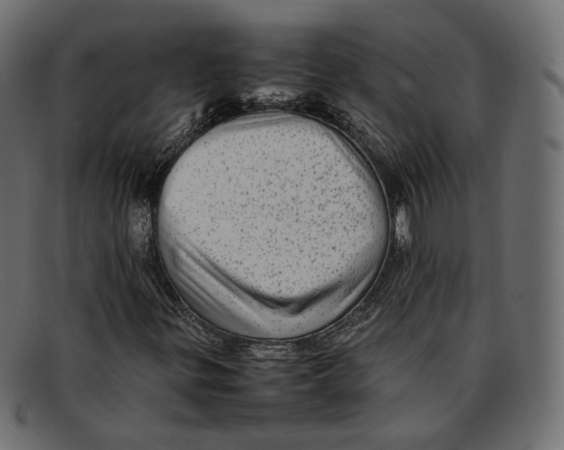 X0000092061299200710101026