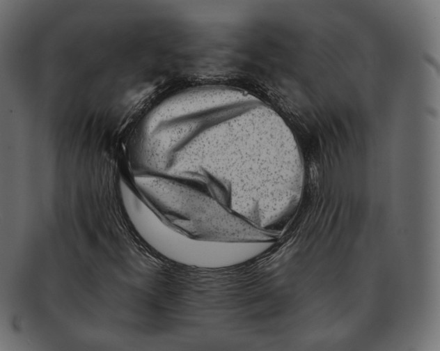 X0000092061300200710101026