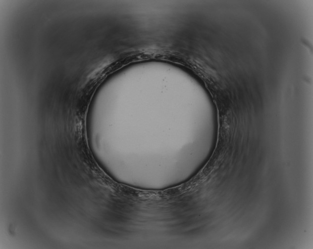 X0000092061302200710101026