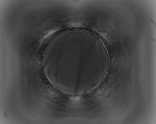 X0000092061303200710101026