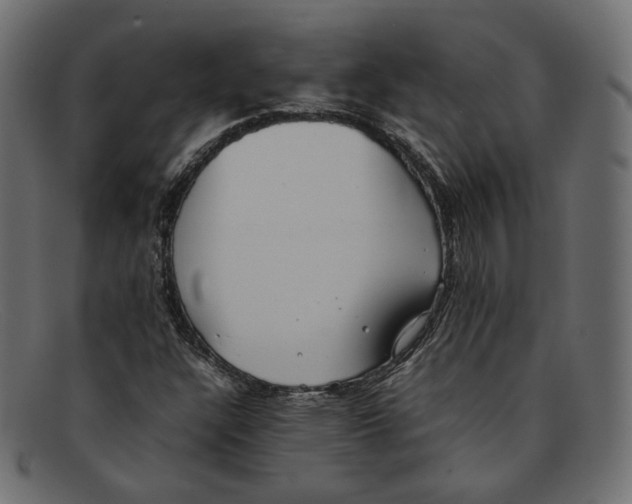 X0000092061304200710101026