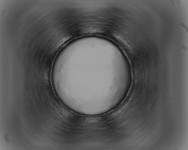 X0000092061305200710101026