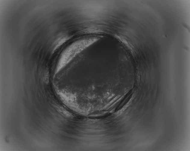 X0000092061306200710101026