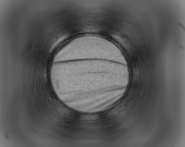 X0000092061307200710101026