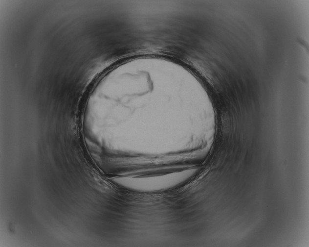 X0000092061308200710101026