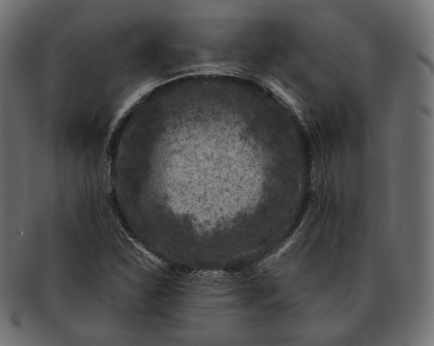 X0000092061310200710101026