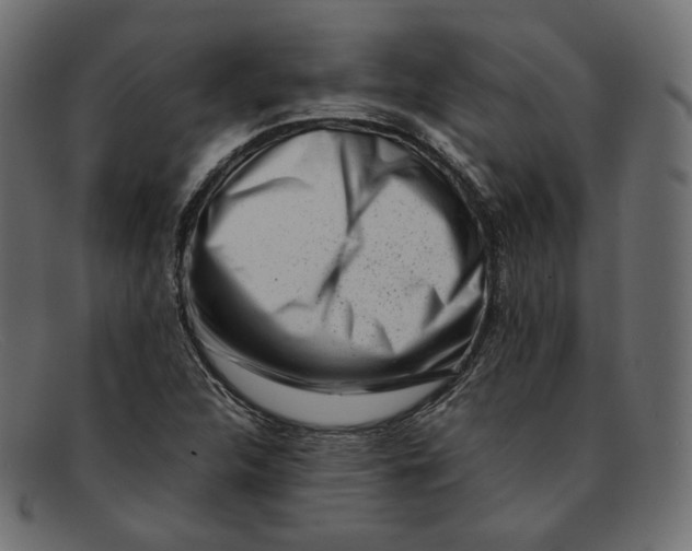 X0000092061312200710101026