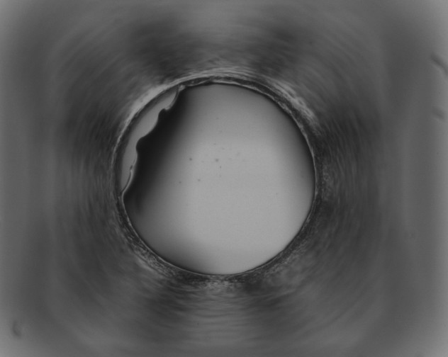 X0000092061316200710101026