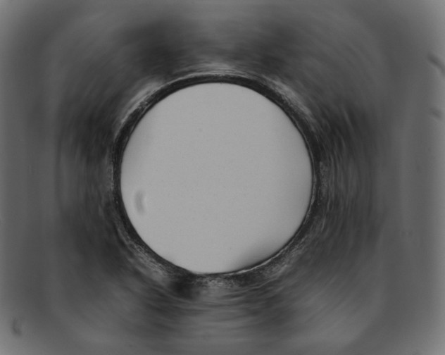 X0000092061318200710101027