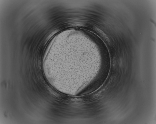 X0000092061321200710101027