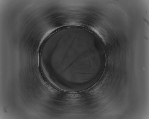 X0000092061323200710101027