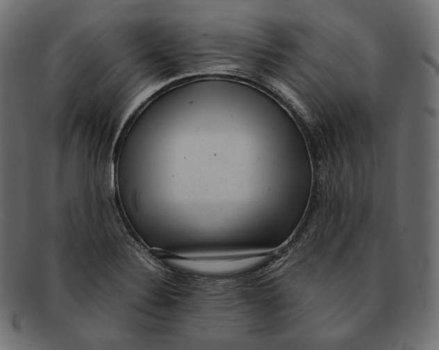 X0000092061324200710101027