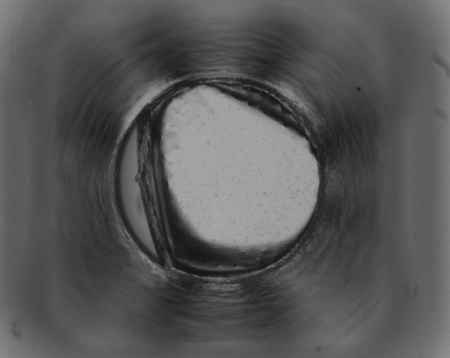 X0000092061325200710101027