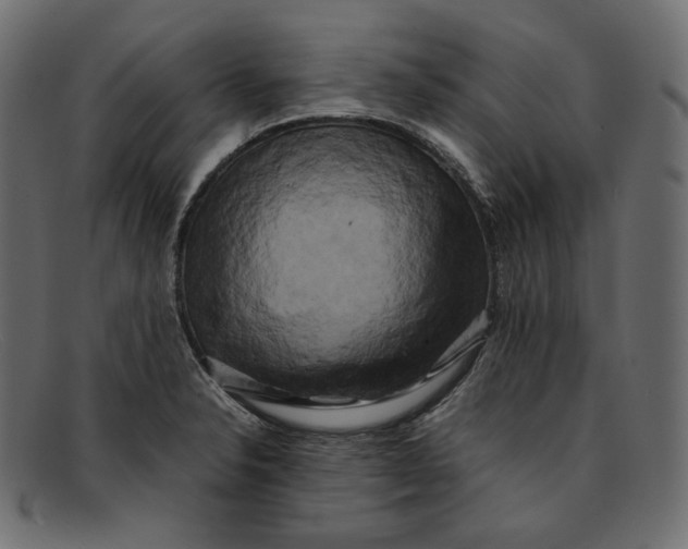 X0000092061326200710101027