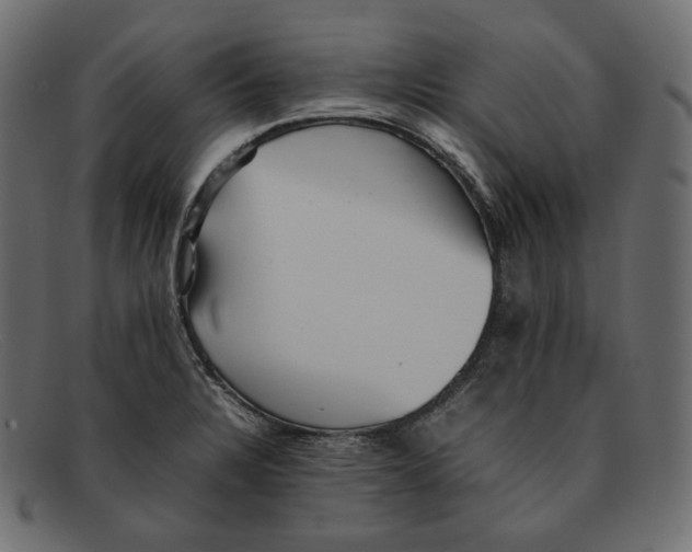 X0000092061328200710101027