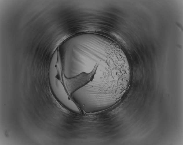 X0000092061329200710101027