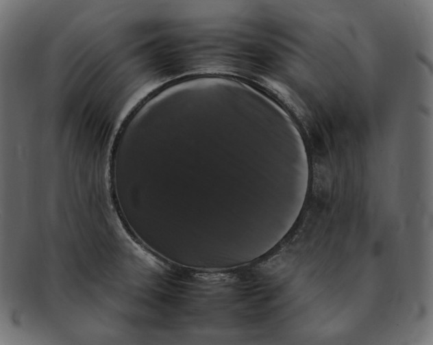 X0000092061331200710101027