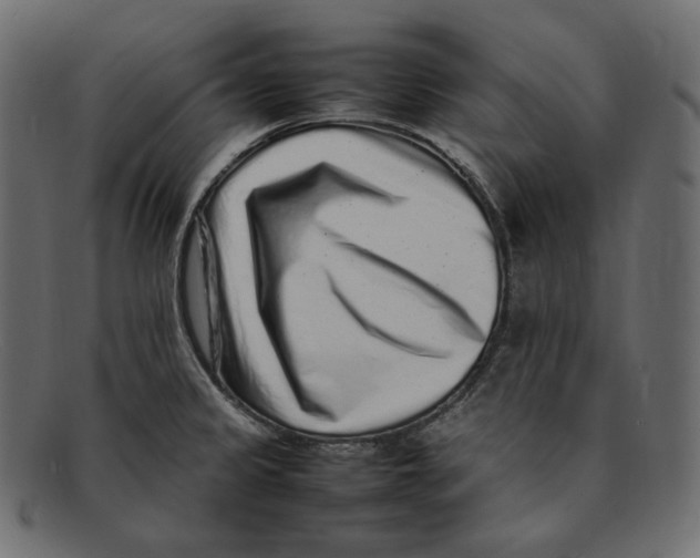 X0000092061333200710101027