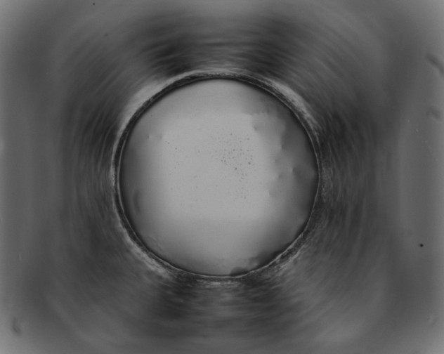 X0000092061335200710101027