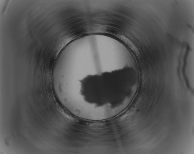 X0000092061337200710101027