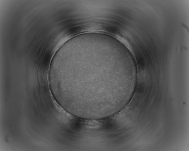 X0000092061338200710101027