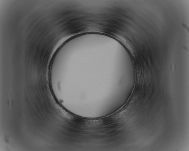 X0000092061339200710101027