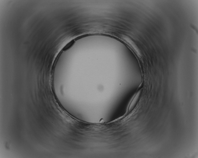 X0000092061340200710101027