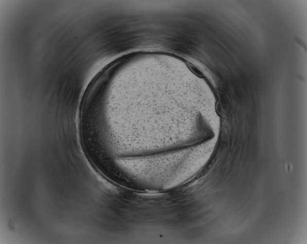 X0000092061343200710101027